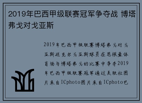 2019年巴西甲级联赛冠军争夺战 博塔弗戈对戈亚斯